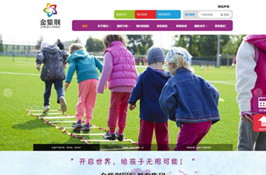 少儿培训类网站建设-金紫荆