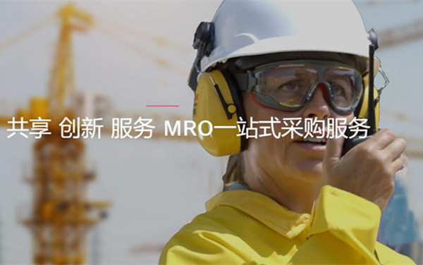 祝贺安徽中帝商贸品牌网站正式上线